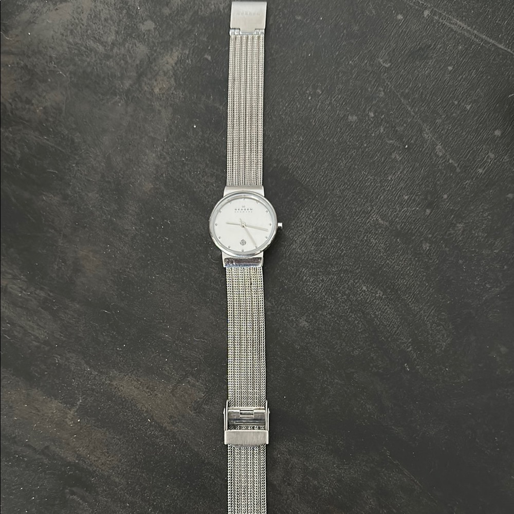 Skagen Silver Mesh Watch